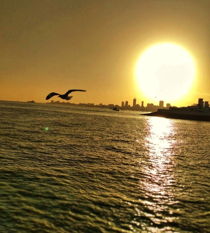 Dusky mumbai